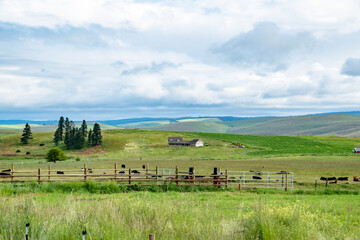 Obraz premium Rural Farm out in Green Hills of Wallowa in Eastern Oregon on Sunny Day
