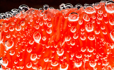 Grapefruit slice peeled pulpy capsules in water with air bubbles, in background light, close-up selective focus