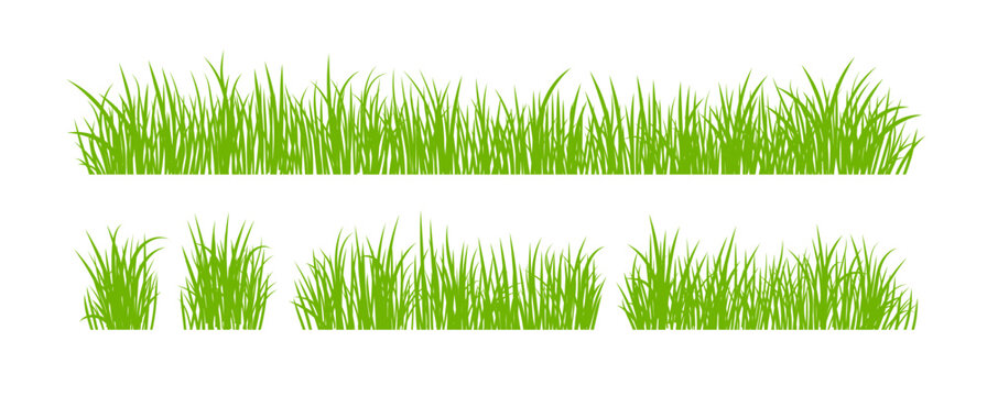 Set of Grass Isolated on White Background.	
