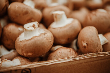 Pile of raw mushrooms in market