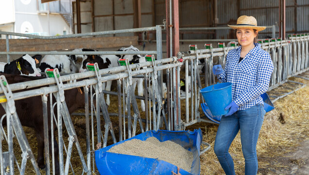 Confident female farm worker feeding calves in stall at livestock breeding farm