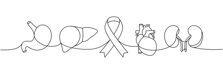 Stomach, heart, liver, kidneys one line continuous drawing. Cancer awareness ribbon, AIDS ribbon continuous one line illustration.