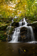 Fototapeta na wymiar Dark Hollow Falls in Shenandoah, Virginia