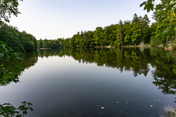Fototapeta na wymiar See, Bäume spiegeln im Wasser 