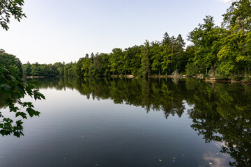 Fototapeta na wymiar See mit Bäumen umrundet in schöner Landschaft 