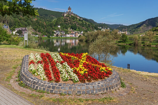 Cochem an der Mosel mit einem Blumenbeet mit u. a. Eis-Begonien in den Farben des Stadtwappens in Rheinland-Pfalz, Deutschland mit der Reichsburg Cochem im Hintergrund.