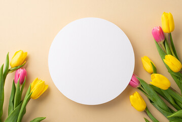 Spring concept. Top view photo of white circle yellow and pink tulips on isolated pastel beige...