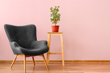 Stylish grey armchair and houseplant on end table near pink wall