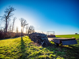 Brennholzlager im Freien auf einer Wiese © focus finder