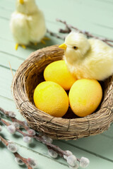 Nest with painted Easter eggs, toy chicks and willow branches on color wooden background, closeup