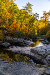 Streams in Virginia during the Fall