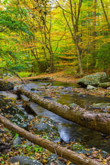 Streams in Virginia during the Fall