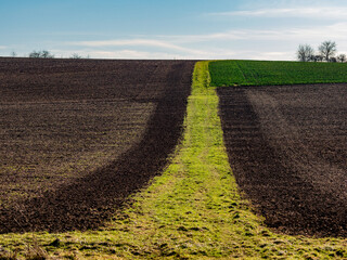 Feldweg zwischen den Feldern