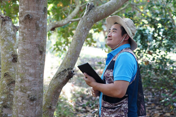 Asian man botanist wears hat , holds smart tablet to check and survey trees in forest. Concept :...