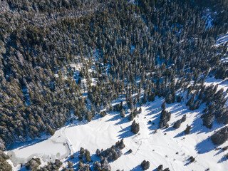 Fototapeta na wymiar Aerial winter view of Rhodope Mountains around Pamporovo, Bulgaria