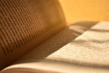 Fototapeta premium Text on the pages of a book