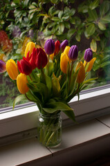 bouquet of tulips in a vase