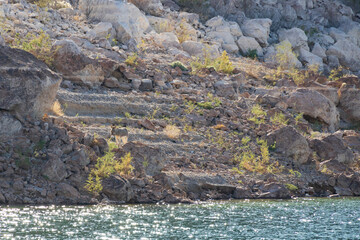 Wild donkey on a rocky hillside
