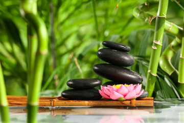 Stack of spa stones and flower in green garden