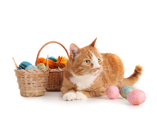 Fototapeta na wymiar Cute cat and baskets with Easter eggs on white background