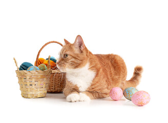 Fototapeta na wymiar Cute cat and baskets with Easter eggs on white background