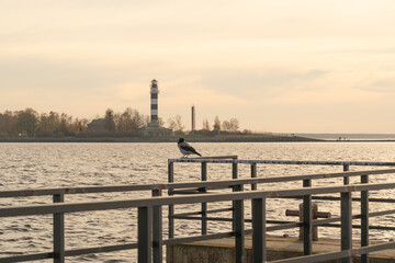 Crow is sitting on railing with lighthouse in opposite bank