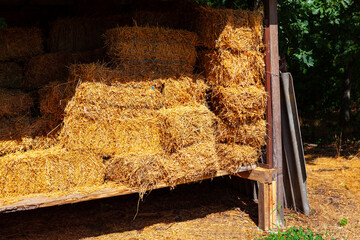 Hay in bales at farm yard . Feeding for farm animals