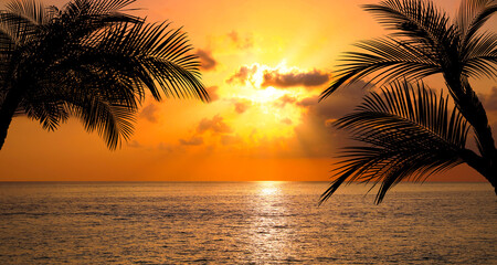 Plakat Picturesque view of sea and palm trees at sunset