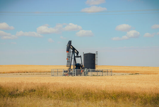 oil pump jack in the field