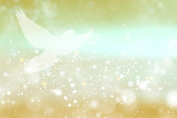Light Silhouette of bird on colored sky background