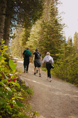 Fototapeta premium hiking in the mountain