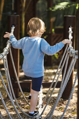 Preschool child playing on rope swing in beautiful tropical kindergarten yard.