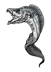 太刀魚　タチウオA