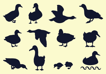 Silhouettes of wild and domestic ducks, Ducks in flight. Vector animals in bundles and sets

