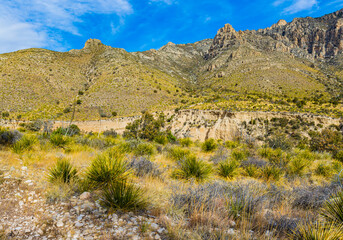 Fototapeta na wymiar The Devil's Hall Trail in Pine Springs Canyon, Guadalupe Mountains National Park, Texas, USA