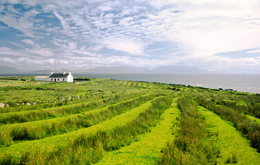 Cottage croft farm showing old traditional ridge and furrow cultivation field patterns on Clare Island off the coast of County Mayo, Ireland - obrazy, fototapety, plakaty