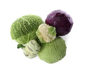 Many different types of fresh cabbage on white background, top view