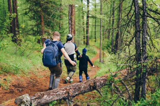 Family hiking in the forest 