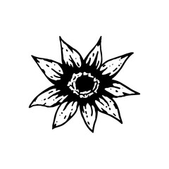 Vector black and white tattoo. Flower on white background