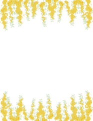 ミモザ（アカシア）のレターサイズの背景イラスト