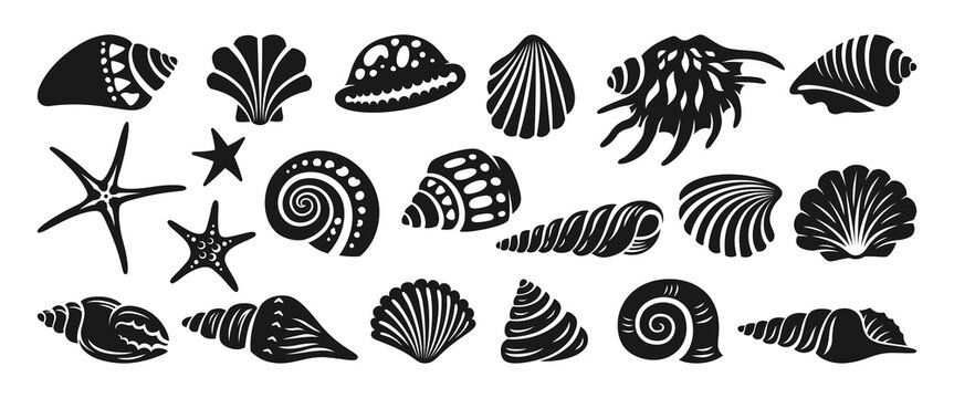 Sea shell sink engraving monochrome set. Ocean exotic underwater seashell conch aquatic mollusk, sea spiral snail marine starfish collection. Tropical beach shells nature aquatic design illustration