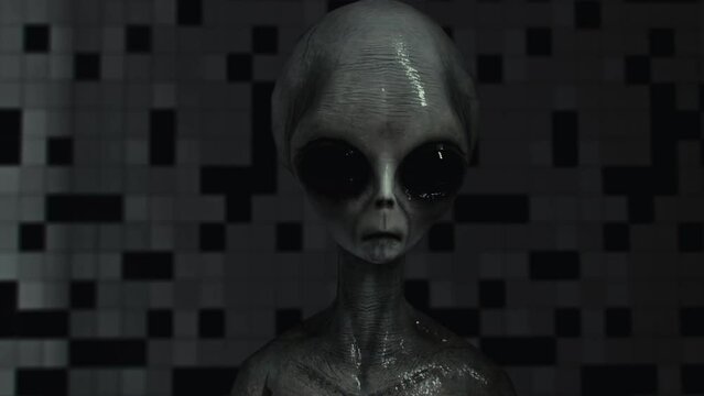 quot Grey Alien quot Images Browse 53 937 Stock Photos Vectors and Video