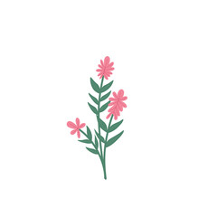 Aesthetic Floral Vector