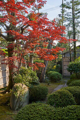 邃渓園, 紅葉, 秋,すいけいえん