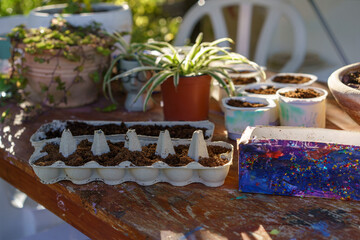 Creative Ways to Use Old Egg Cartons, Yogurt Tubs And Milk Cartons-Grow Seedlings. Earth Day Crafts.