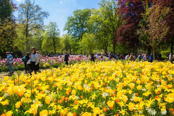 People enjoy colorful tulips on sunny day at the Keukenhof flower garden, Lisse, The Netherlands,...