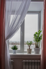 The window in the room with houseplants on window sill and curtains against the backdrop of the river and forest covered with snow at winter.