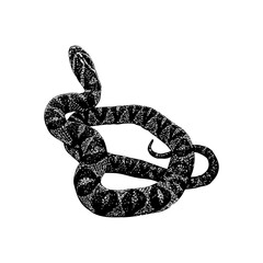 Mandarin Rat Snake hand drawing vector isolated on background.