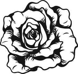 Anne Harkness rose png.Beautiful flower on transparent background.