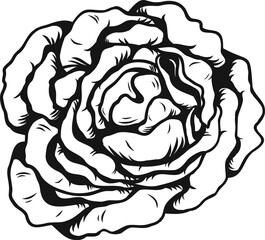 Anne Harkness rose png.Beautiful flower on transparent background.